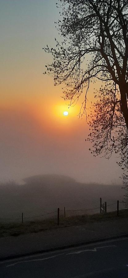 Schillers Landhaus Neu Darchau Dış mekan fotoğraf